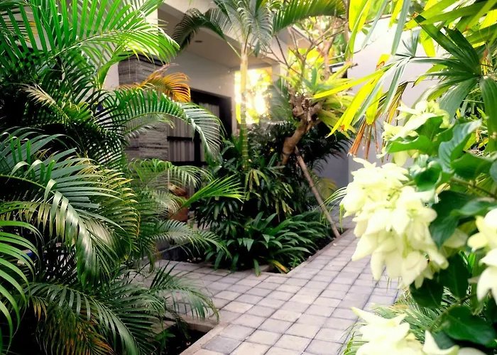 The New Moon Guest house 4*
